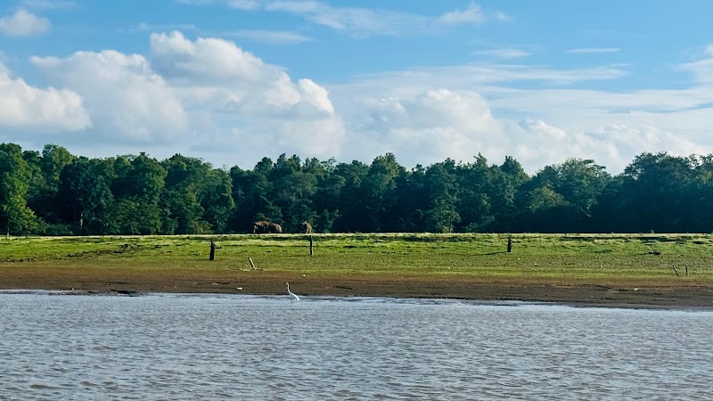 Kabini River Safari - Kabini River Safari Melukote, Karnataka 571116, India