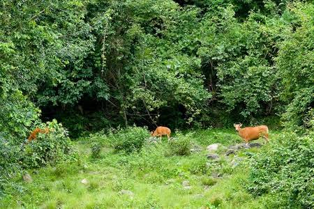 Northern Thailand - Northern Thailand, Thailand