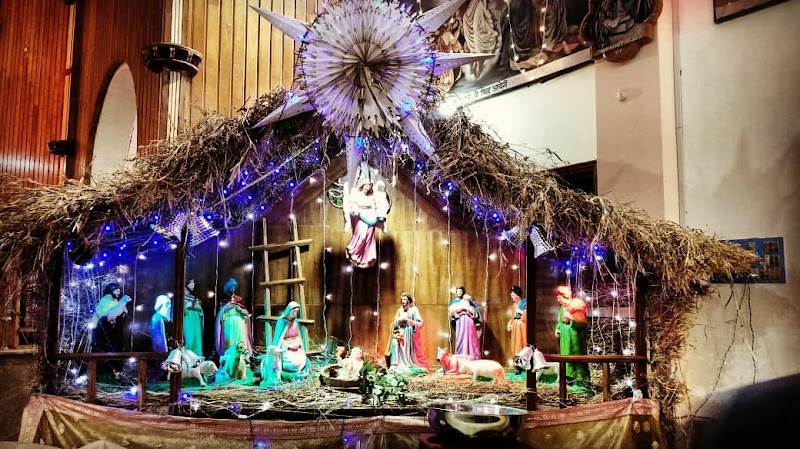 St. Joseph's Cathedral - St. Joseph's Cathedral, 6JMV+M5R, Byron Bazar Rd, Byron Bazar, Janta Colony, Raipur, Chhattisgarh 492001, India