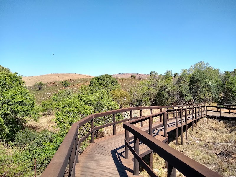 Sterkfontein Caves - Sterkfontein Caves, Kromdraai Rd, Johannesburg, South Africa