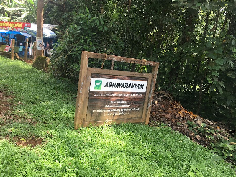 Kodanad Elephant Training Centre - Kodanad Elephant Training Centre Vallom Panamkuzhi Road, PO, Malayattoor, Kaprikad, Kerala 683544, India