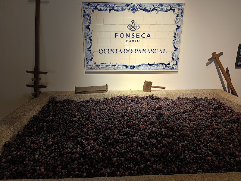 Fonseca Port Wine Cellars - Fonseca Port Wine Cellars Rua do Choupelo 54, 4400-187 Vila Nova de Gaia, Portugal