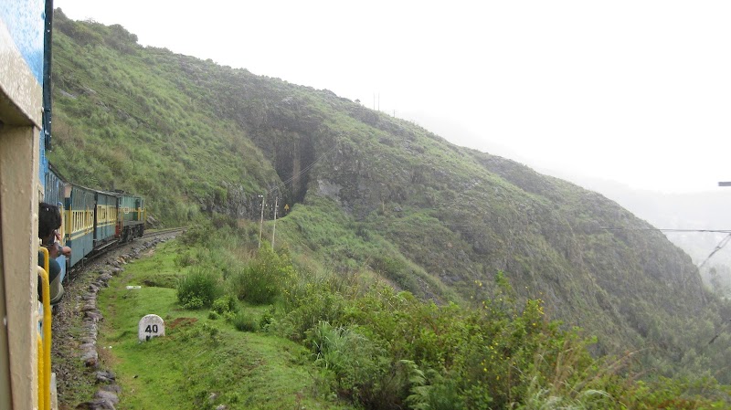 Fern Hill - Fern Hill Fern Hill, Ooty, Tamil Nadu, India