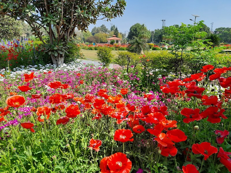 City Park greater Noida - City Park greater Noida FGFC+H3R, Block B, Nawada, Greater Noida, Uttar Pradesh 201315, India