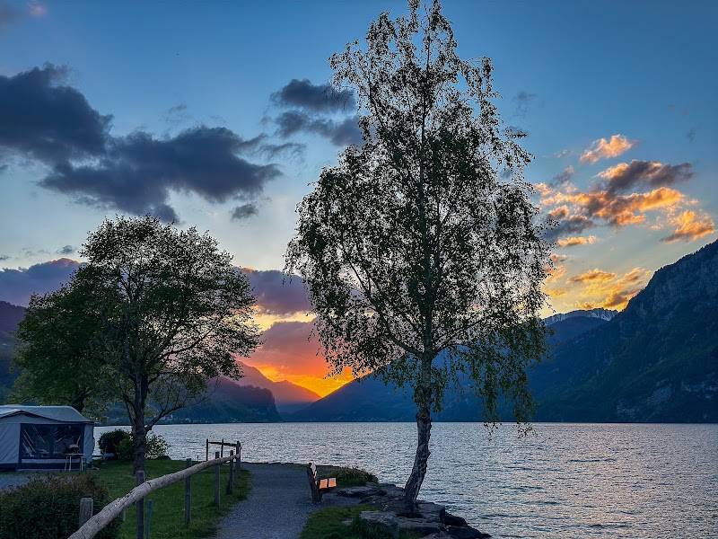 Camping Murg - Camping Murg Strandbodenstrasse 16, 8877 Murg, Switzerland