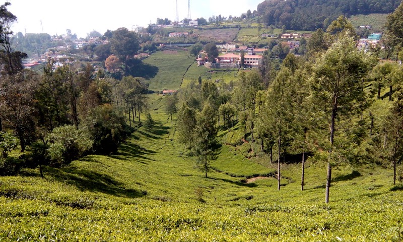 Kotagiri - Kotagiri Kotagiri, Tamil Nadu, India
