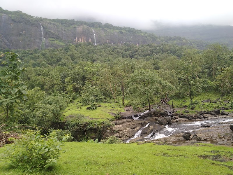 Bhimashankar Forest Reserve - Bhimashankar Forest Reserve, 3G8J+6RQ, Bhimashankar, Maharashtra 410509, India