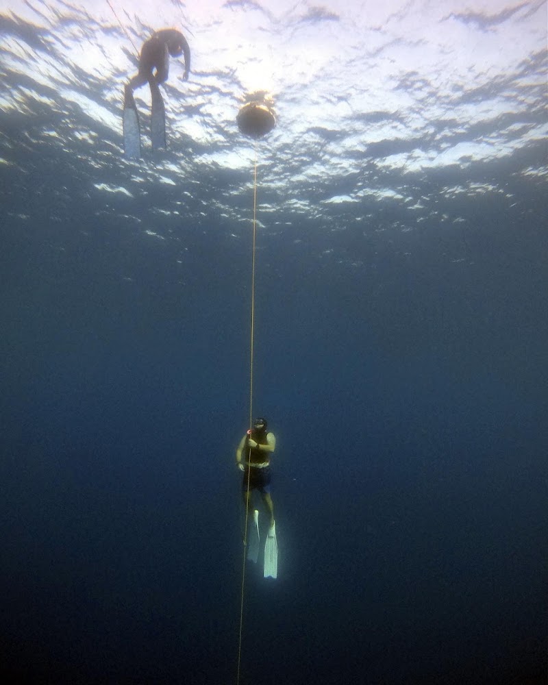 Freedive Nomad Taiwan