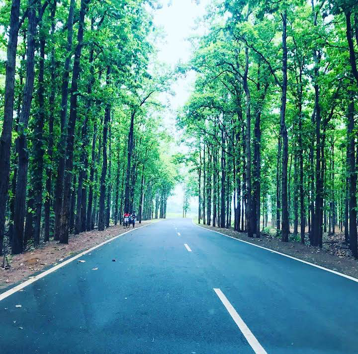 Bhalu Chattan (बगुत पथल) Netarhat - Bhalu Chattan (बगुत पथल) Netarhat F737+H53, Link Rd, Birjiatoli, Range, Jharkhand 835218, India