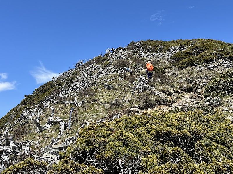 Xueshan Main Peak - Xueshan Main Peak, 96MJ+9P, Heping District, Taichung City, Taiwan 424