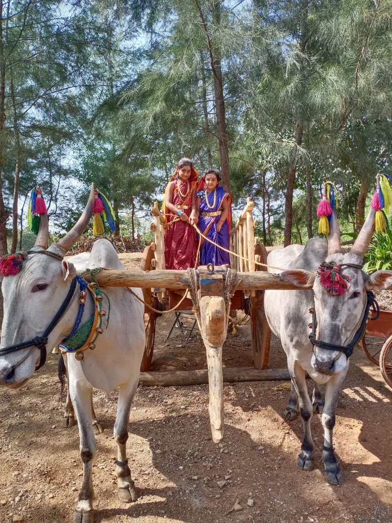 Agadi Thota - Agadi Thota, Tadas - Hangal Road, Shiggaon Taluk, Kunnur, Karnataka 581193, India