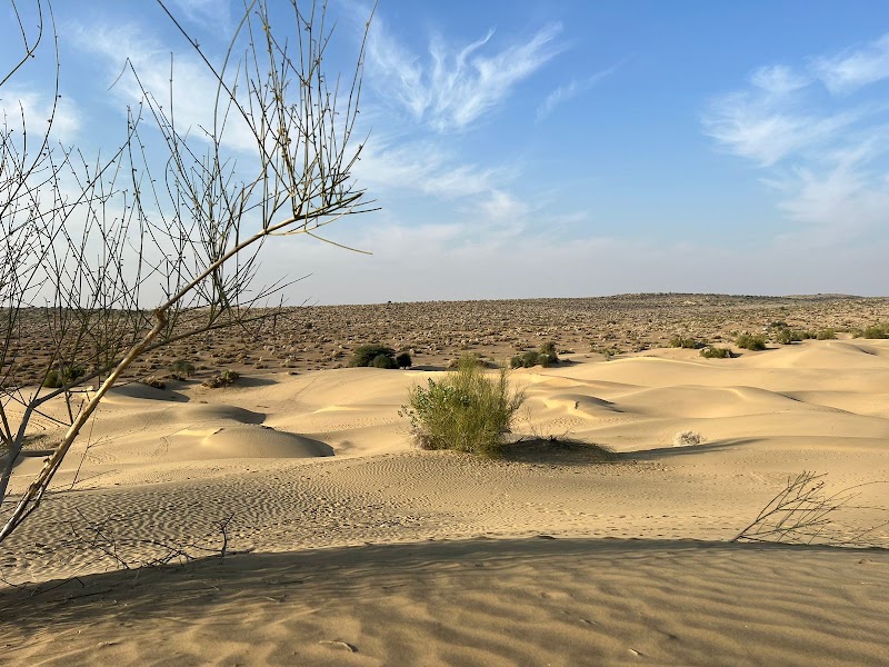 Khuri Dunes Camel Safari - Khuri Dunes Camel Safari, JP78+C2F, Ring Road, Khuri, Jaisalmer, Khoohdi, Rajasthan 345001, India