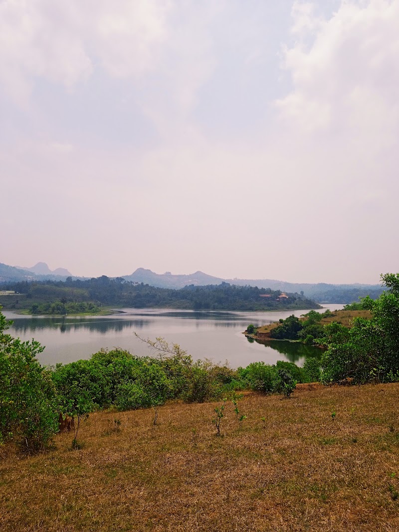 Wayanad Guide - Wayanad Guide, Meppadi, Natham Kuni, Kalpetta, Meppadi, Keralam 673577, India