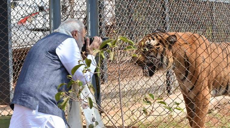 Nandan Van Zoo - Nandan Van Zoo 7GMV+8FV, Atari, Hatband, Chhattisgarh 492099, India