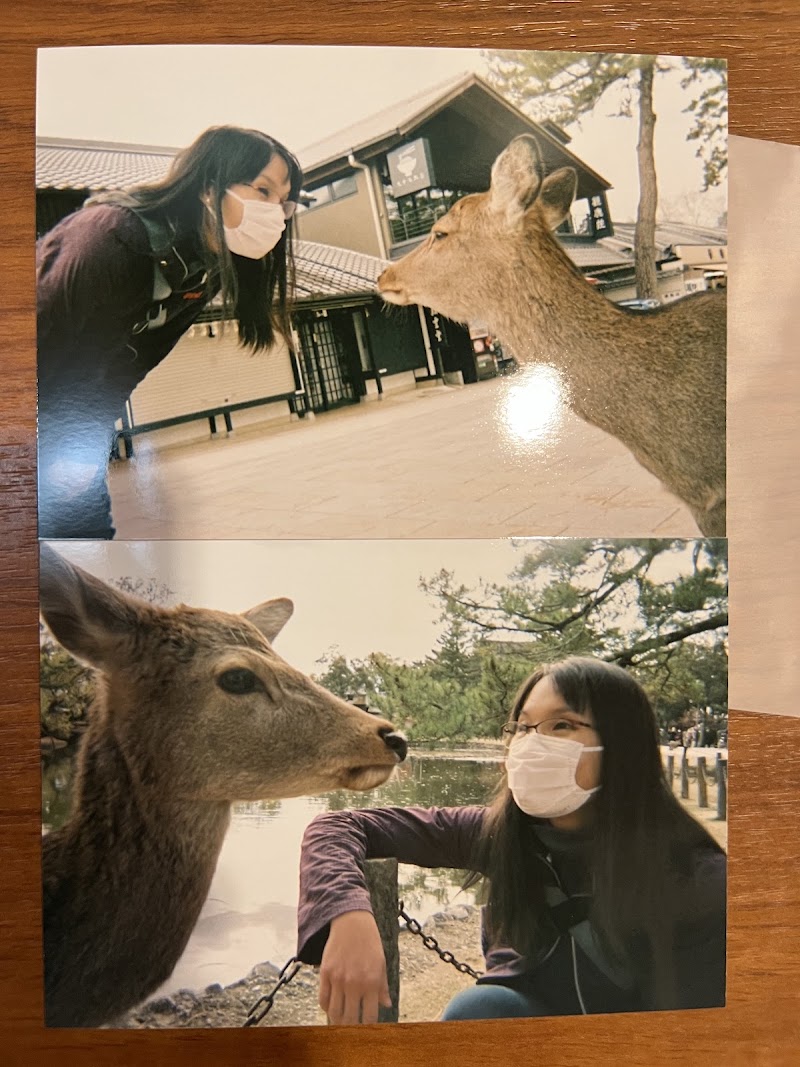 Photo House K - Photo House K, Japan, 〒604-8005 Kyoto, Nakagyo Ward, Ebisuchō, ４３４−２ プチトール８８４ １階