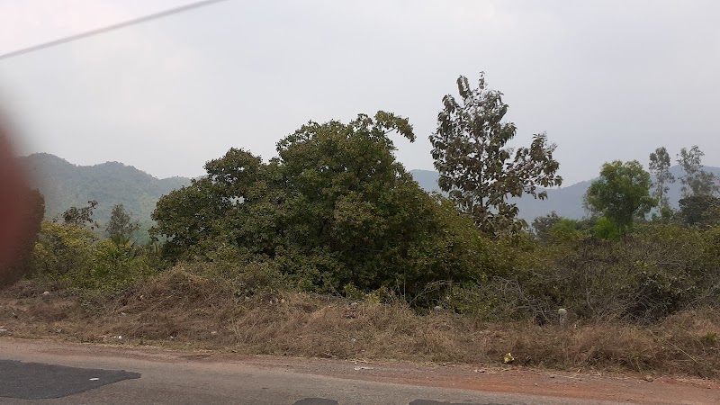 Agonda Beach Road - Agonda Beach Road, Agonda Beach Rd, Agonda, Goa 403702, India