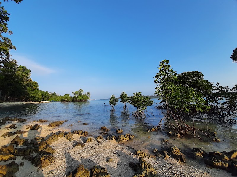 Swaraj Dweep - Swaraj Dweep Swaraj Dweep, Andaman and Nicobar Islands 744211