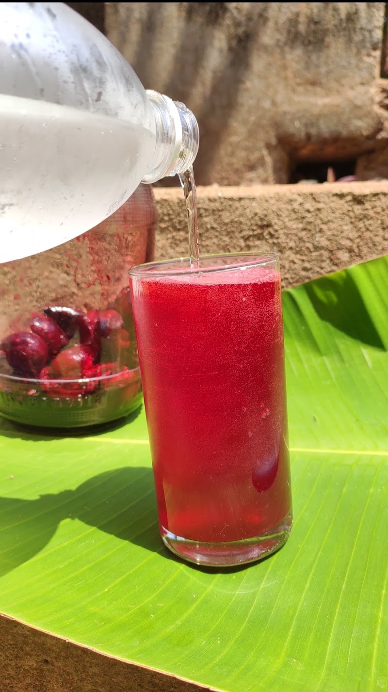 Prabhu Farms:- Blessings in Nature - Prabhu Farms:- Blessings in Nature Galgibag road, Canacona, Poingunin, Goa 403702, India
