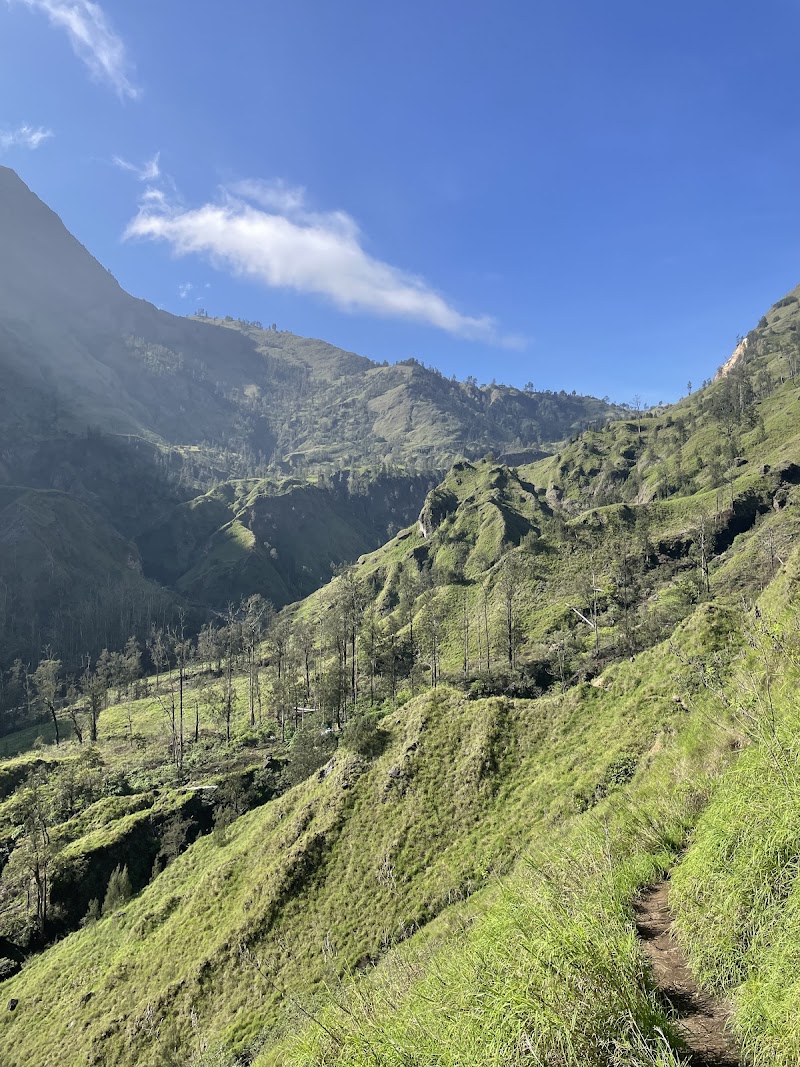 Taman Nasional Gunung Rinjani - Taman Nasional Gunung Rinjani, Jl. Raya Sembalun Lawang, Sembalun Lawang, Kec. Sembalun, Kabupaten Lombok Timur, Nusa Tenggara Bar. 83656, Indonesia