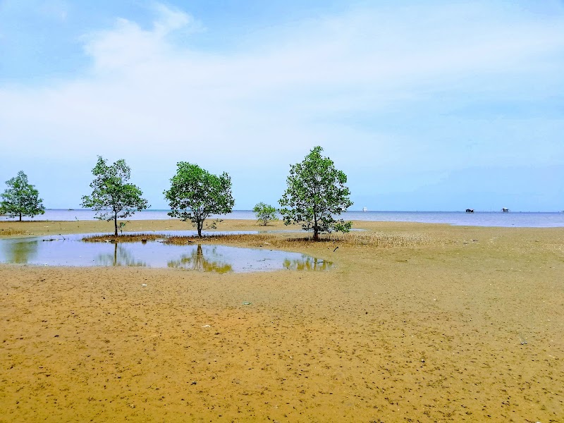 Phu Quoc National Park - Phu Quoc National Park, 82JJ+M57, Phu Quoc, An Giang, Vietnam