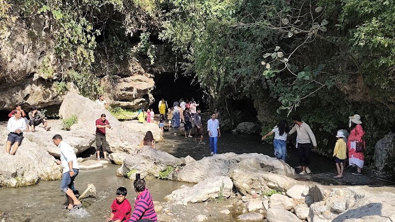 Robbers Cave Cafe - Robbers Cave Cafe near robbers cave, Anarwala, Dehradun, Uttarakhand 248003, India