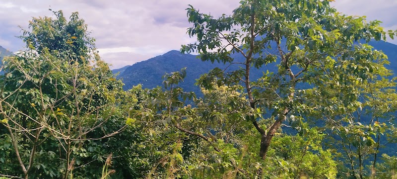 Main View Point - Main View Point PM5F+RJR, SH 85, Bisle State Forest, Karnataka 573123, India