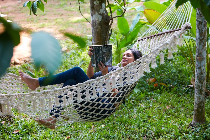 Raindrops Resorts Wayanad - Raindrops Resorts Wayanad Sultan Bathery Rd, Nenmeni, Kerala 673592, India