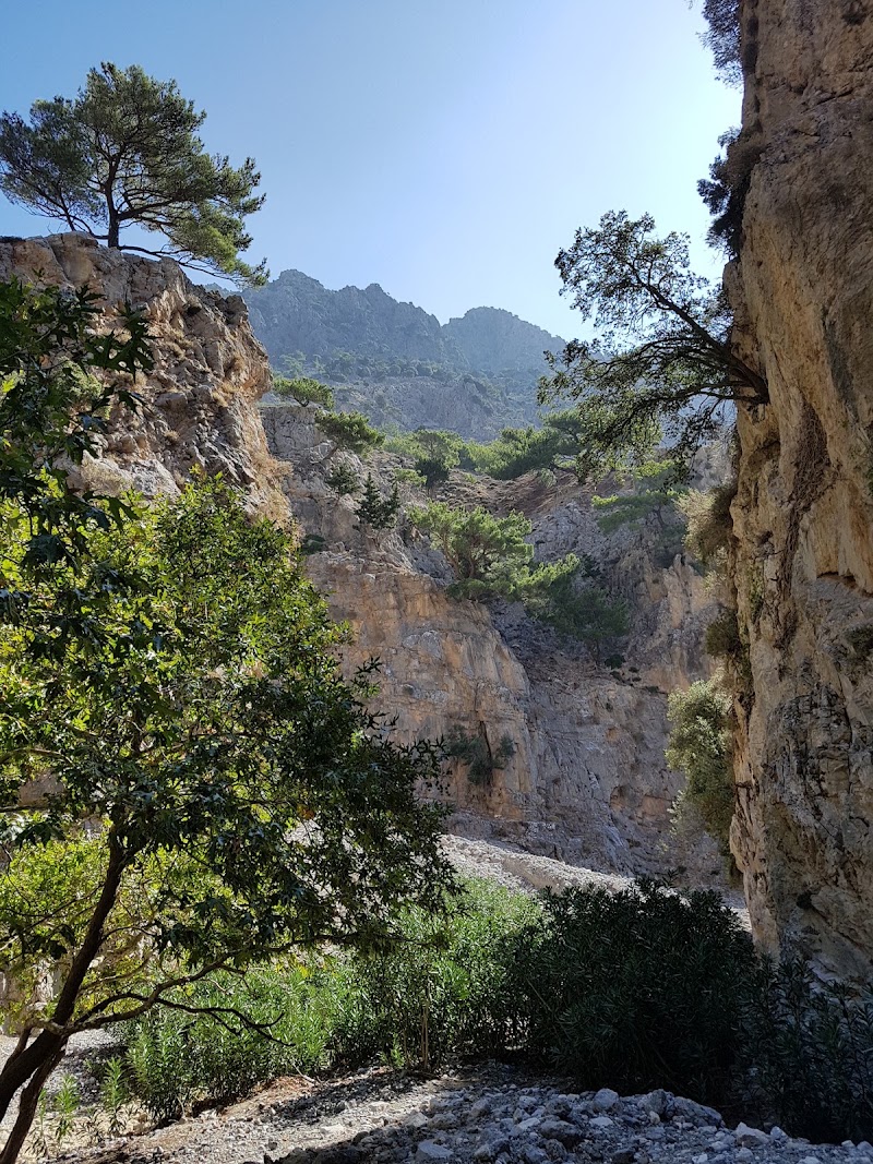 Zaros - Zaros 700 02, Greece