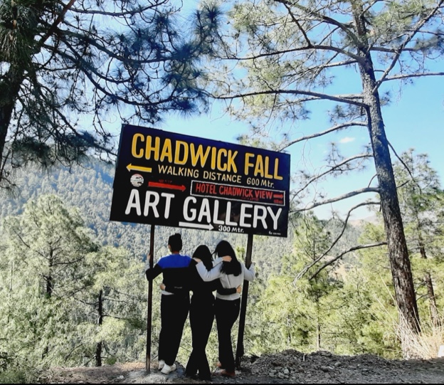 Chadwick Falls - Chadwick Falls 449Q+VH3, Shimla, Himachal Pradesh 171005, India