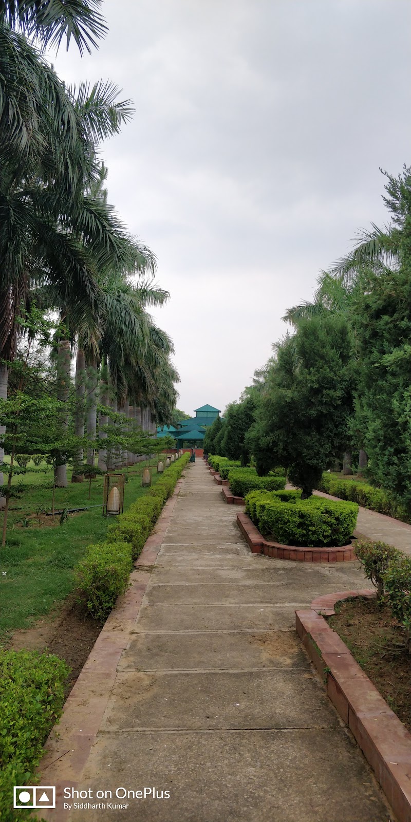 Tau Devilal Biodiversity Park - Tau Devilal Biodiversity Park Sector 52A, Gurugram, Haryana 122011, India