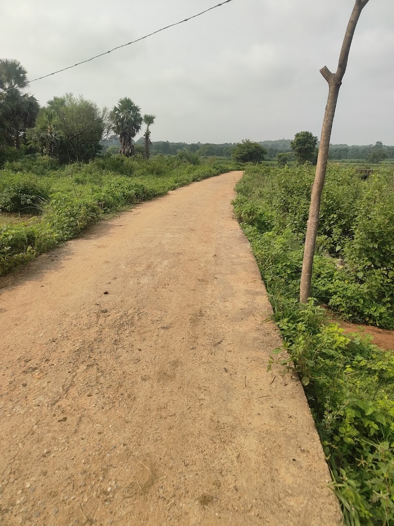 JP FISH AND FISH SEEDS FARM - JP FISH AND FISH SEEDS FARM, Ch, Bhalumunda, Chhatrang, Odisha 767060, India