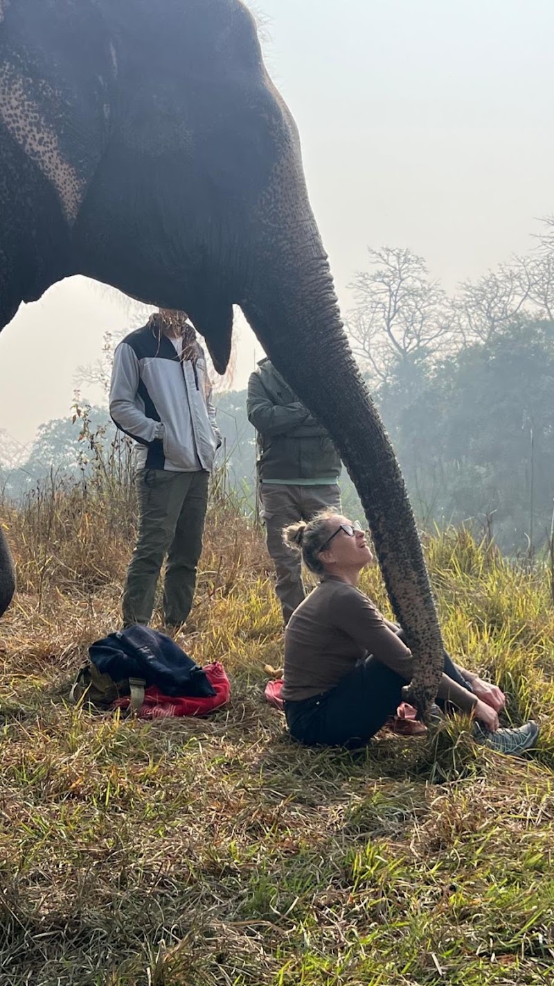 Elephant Care Nepal - Elephant Care Nepal Baadreni Road, Ratnanagar 44200, Nepal