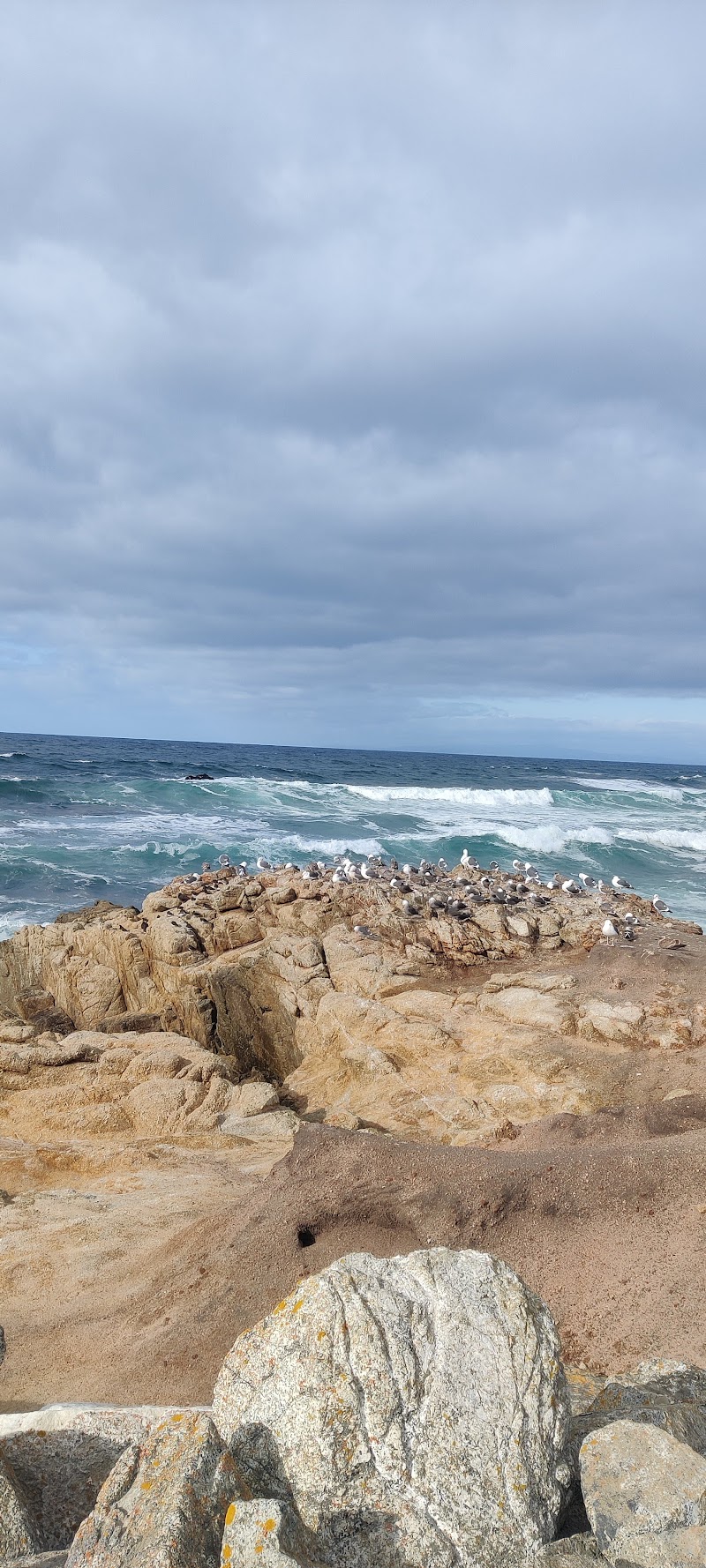 17 Mile Drive - 17 Mile Drive, 17 Mile Dr, Pebble Beach, CA 93953, USA