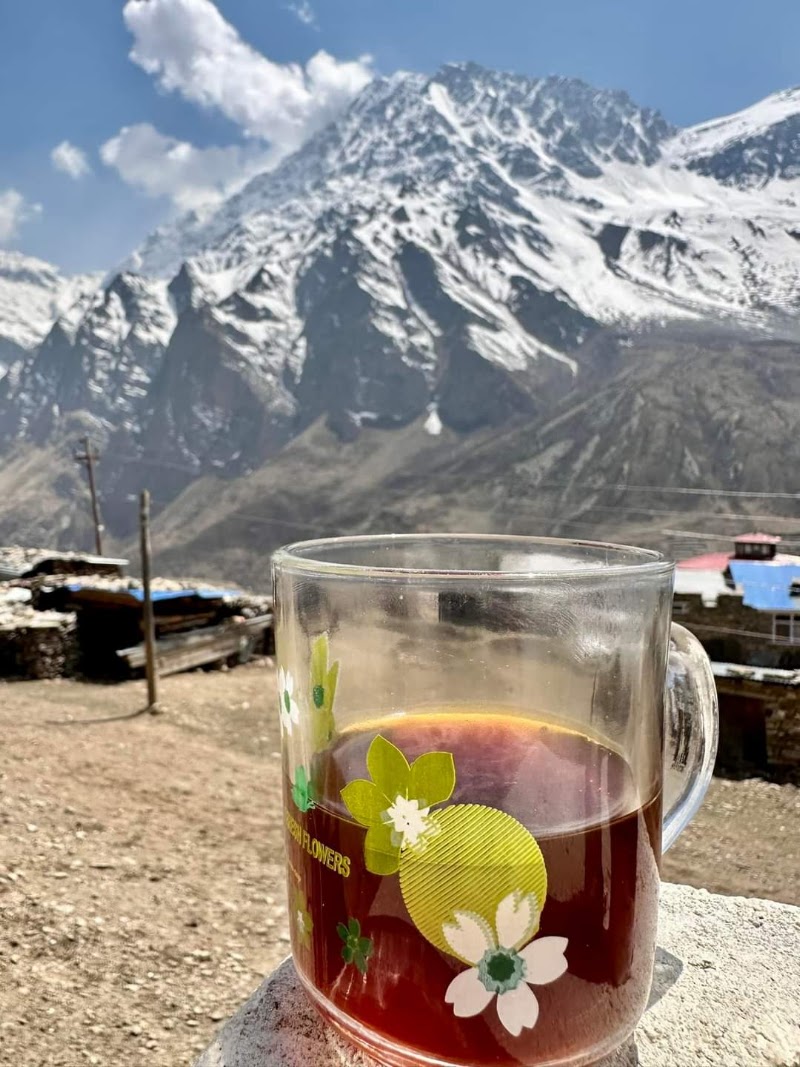 Phedi - Phedi, Nepal
