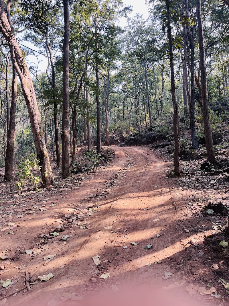 Naina Water Fall - Naina Water Fall F6HF+Q8C, Naina, Jharkhand 835218, India
