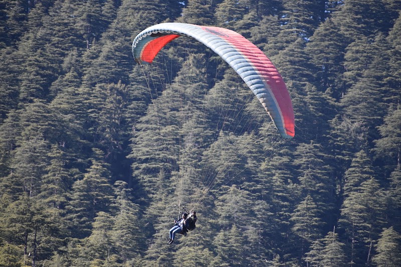 Khajjiar - Mini Switzerland - Khajjiar - Mini Switzerland, G3W4+59W, Khajjiar Local Trail, Khajjiar, Khajiar Jangal, Himachal Pradesh 176314, India