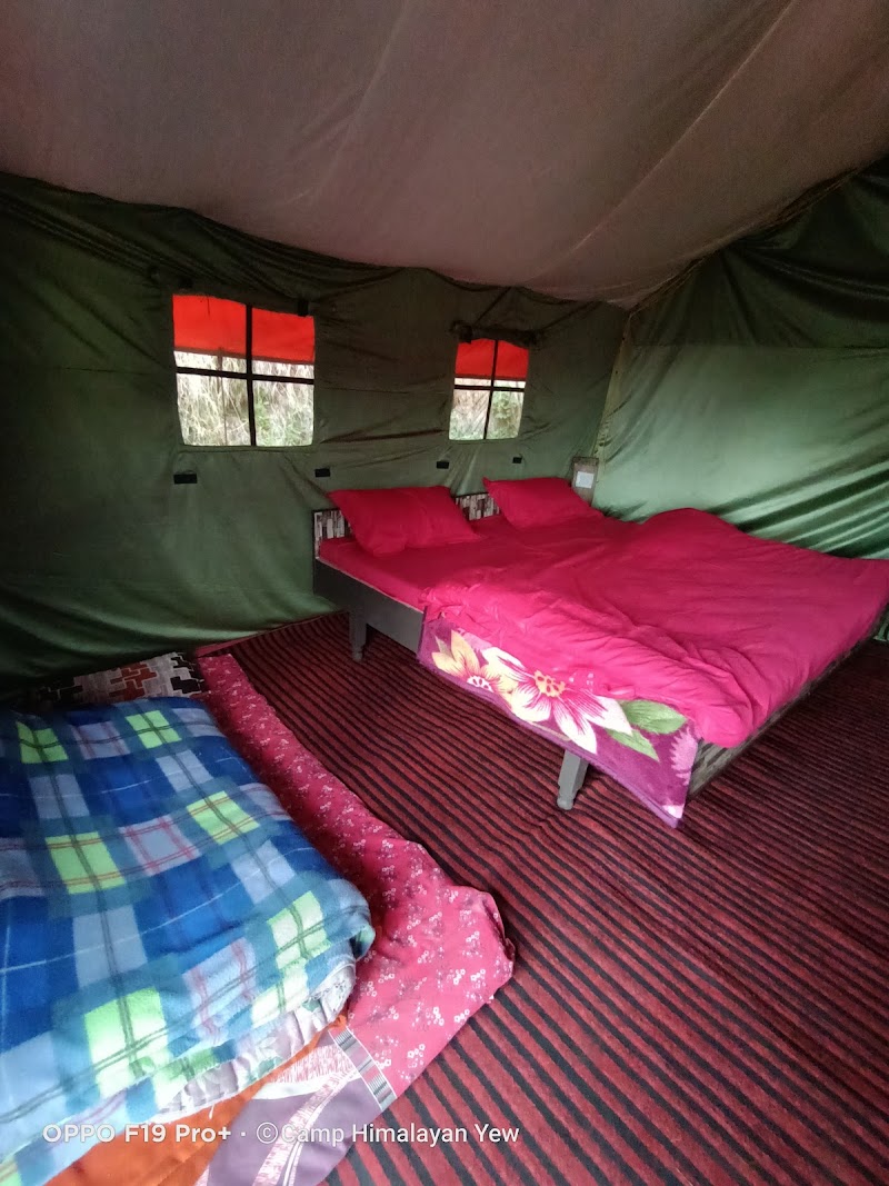 Himalayan Yew Camps And Homestay -- By Raasta stays - Himalayan Yew Camps And Homestay -- By Raasta stays Village Nagrot P.O. Narkanda, Teh, Distt, Kumarsain, Himachal Pradesh 171213, India