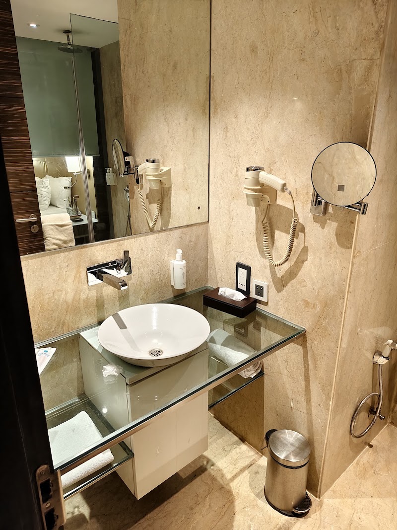 Park Plaza Delhi CBD Shahdara - Park Plaza Delhi CBD Shahdara Plot 32, Central Business Dist, 17/169, Karkari Rd, Bhikam Singh Colony, Block 17, Vishwas Nagar, Shahdara, Delhi, 110032, India