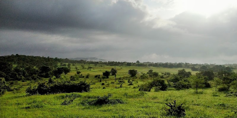 Farm of Happiness Farm Stay (आनंदाचं शेत) - Farm of Happiness Farm Stay (आनंदाचं शेत) Off, Parchuri Road, near Kaatal Wadi (कातळवाडी, Phungus, Parchuri, Maharashtra 415637, India