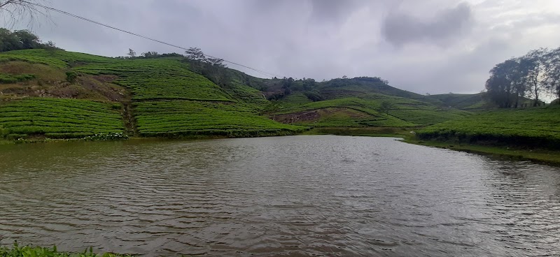 Eagle View Point - Eagle View Point PV8Q+V79, Pullikkanam - Elappara Road, Keralam 685503, India
