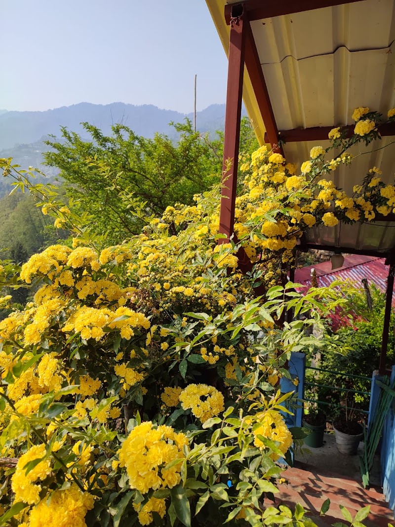 Sarmoli - Sarmoli, Munsyari, Uttarakhand 262554, India