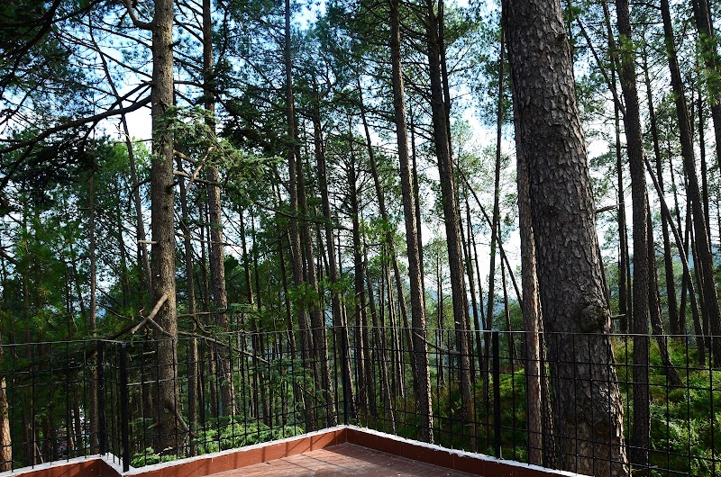 The Mystique Loft (homestay) - The Mystique Loft (homestay), Verma Apartment, below New ISBT, Tutikandi, Shimla, Himachal Pradesh 171004, India