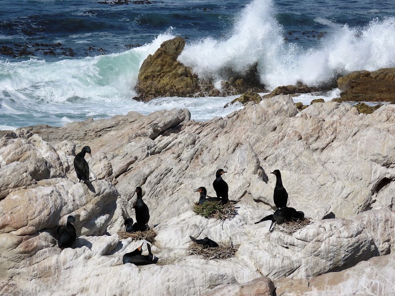 Betty's Bay - Betty's Bay, 7141, South Africa