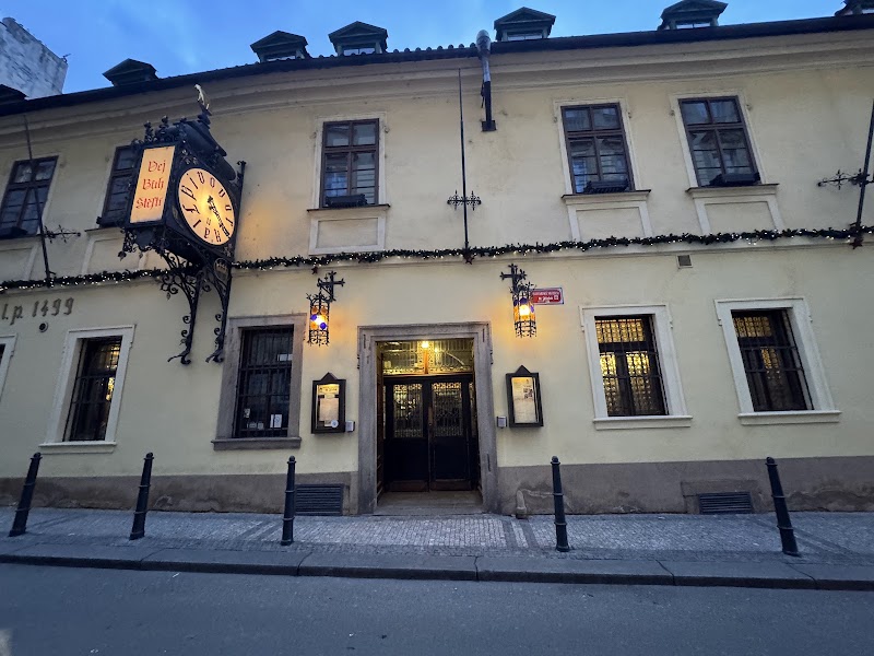 U Fleků - U Fleků, Křemencova 11, 110 00 Praha 1-Nové Město, Czechia