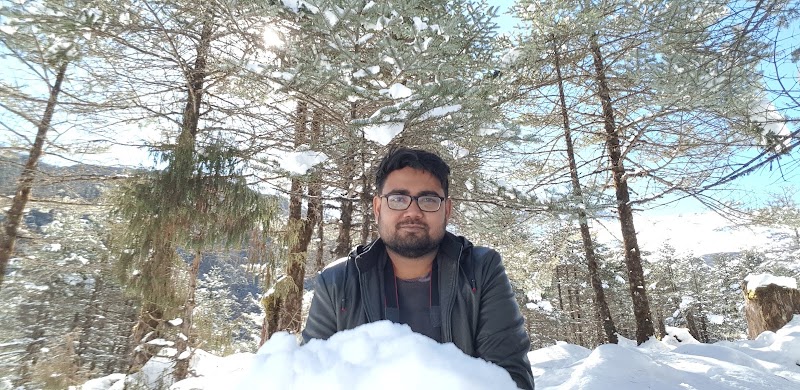 traveller inn - traveller inn, road, Katao, Lachung, Sikkim 737120, India