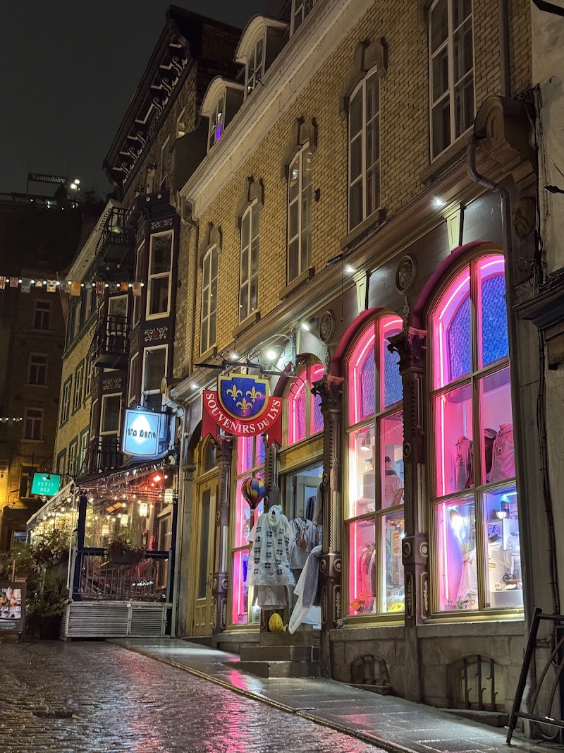 Quebec City Mural - Quebec City Mural, 29 Rue Notre-Dame, Québec, QC G1K 4E3, Canada