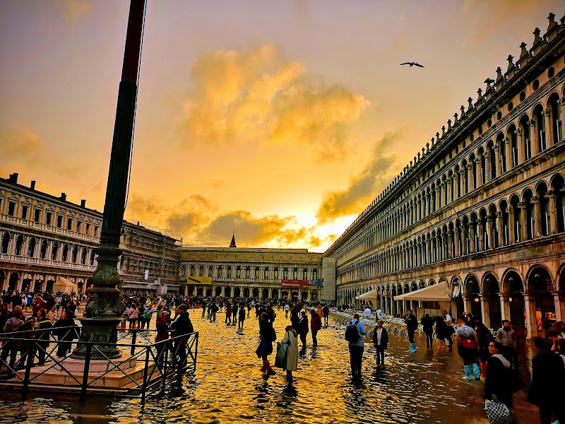 Piazza San Marco - Piazza San Marco P.za San Marco, 30124 Venezia VE, Italy