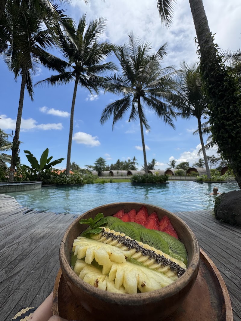 Kelapa Muda Ubud Pool Bar & Kitchen - Kelapa Muda Ubud Pool Bar & Kitchen, Jl. Gn. Sari, Peliatan, Kecamatan Ubud, Kabupaten Gianyar, Bali 80571, Indonesia