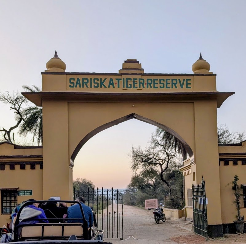 Sariska Tiger Reserve - Sariska Tiger Reserve near Sariska Cafe, opp. Sariska Palace Road, Alwar, Ganeshpura With Rundh Kali Ghati, Rajasthan 301022, India