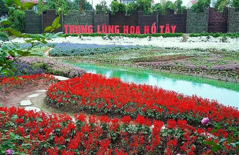 Thung lũng hoa hồ Tây - Thung lũng hoa hồ Tây, Ngã 3 P. Nhật Chiêu, Tây Hồ, Hà Nội, Vietnam